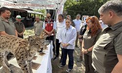 Babalar, çocukları ile çadır kurup kamp yaptı