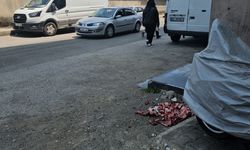 Biz ne zaman bu hale geldik?