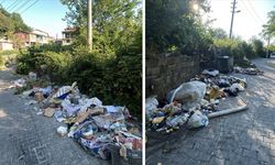 Toplanmayan çöpler tepkilere yol açtı