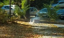 Türkiye cayır cayır yanıyor!: Mangal keyfi pes dedirtti