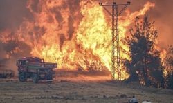 “Yangınlarla ilgili 17 kişi tutuklu, her bir olayda soruşturma ayrı yürütülüyor”