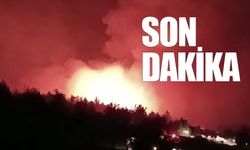 Orman yangını büyerek devam ediyor: İki mahalle tahliye edildi