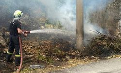 Kozlu'da orman yangını