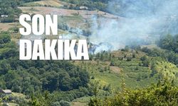 Çaycuma'da orman yangını kontrol altına alındı