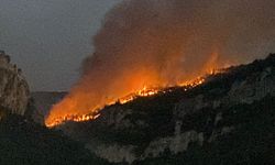Orman yangınlarına müdahale sürdürülüyor; 14 köyden 1006 kişi tahliye edildi