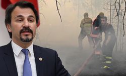 Ormanlar yanıyor, uçaklar hangarda çürümeye terkedildi!