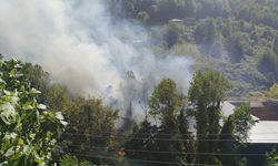 Çaydamar'da orman yangını