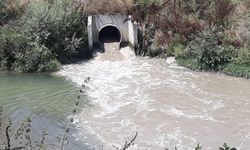 Sadece Gerede Çayı’nın değil, Tüm Filyos Havzası’nın ölüm fermanı