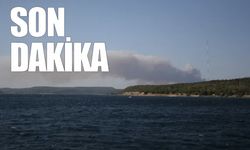 Çanakkale ve Sinop yanıyor