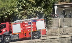 Zonguldak’ta ormanlık alanda çıkan yangın söndürüldü