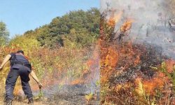 Yol olmadığı için yangına müdahale edilemiyor