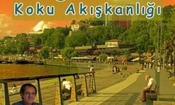 Zonguldak'ta koku alışkanlığı