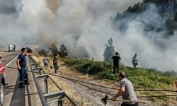Rüzgarın etkisiyle yangın büyüyor