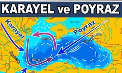 Poyraz deniz suyunu neden soğutur?