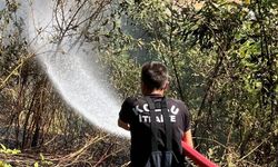 Kozlu'da yangın