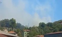 Çatalağzı'nda orman yangını, ekipler müdahale ediyor