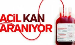 Acil kan aranıyor!