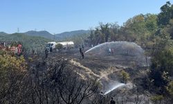 Çatalağzı'nda orman yangını söndürüldü