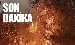 Peş peşe yangın haberleri geliyor…