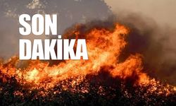 Zonguldak’ta aynı anda 3 yerde yangın