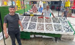 Balıkçı esnafı yeni yerinden memnun