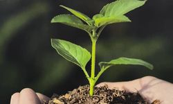 11.11.2025’de, saat 11.11’de seferberlik başlıyor