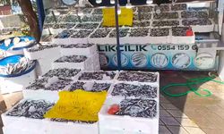 Zonguldak’ta hamsi tezgahlarda 75 liradan alıcı buldu