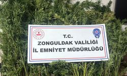 Ereğli'de operasyon: 2 Kişi tutuklandı