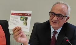 Zonguldak’ta Kokarca Böceğiyle Mücadele Gündemde