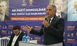 Milletvekili Bozkurt, Danışma Meclisi'nde konuştu