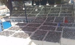 Kilosu 50 TL