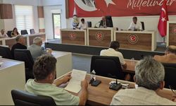 İl Genel Meclisi 4 maddeyi görüşecek
