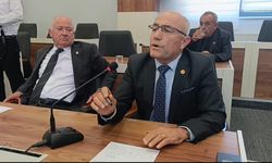 "Ereğli-Alaplı OSB yolu üzerinde kalan 15 haneye doğalgaz verilsin"