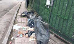 Muhtar Cevher'den ÇÖP isyanı