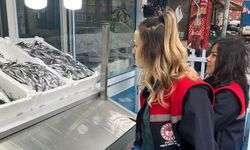 Zonguldak’ta Balık Tezgâhlarına sıkı denetim