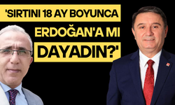 'Sırtını 18 ay boyunca Erdoğan'a mı dayadın?'