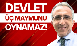 Devlet üç maymunu oynamaz!