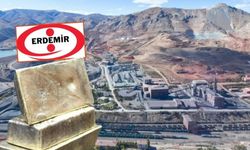 ERDEMİR altın buldu