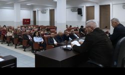 Hamsi Festivali'nde 10 ton hamsi dağıtılacak