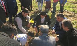 Devrek'te fidanlar toprakla buluştu