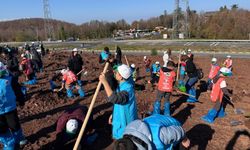 Ereğli'de 'Yeşil Vatan' seferberliği