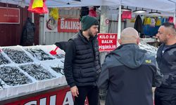 Zonguldak hamsi 125 TL