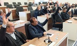 İl Genel Meclisi’nde Ödenek dağılımı netleşti: 25 milyon 945 bin 55 TL ödenek aktarıldı