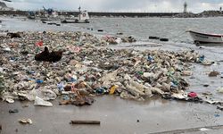 Denize atılan çöpler kıyıya vurdu