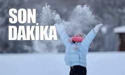 Karabük'te okullar tatil edildi