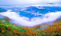 Yenice Ormanları’nın ekoturizm potansiyeli masaya yatırıldı