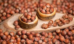 Fındık tüccarından çarpıcı açıklamalar; 'Fındığın geleceği tehlikede'