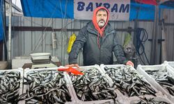 İstavrit tezgahlarda 150 liradan alıcı buldu