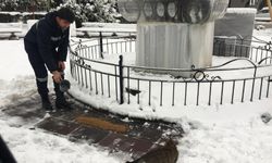 Haycanlar unutulmadı