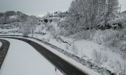 Zonguldak Ereğli yolunda kartpostallık manzara